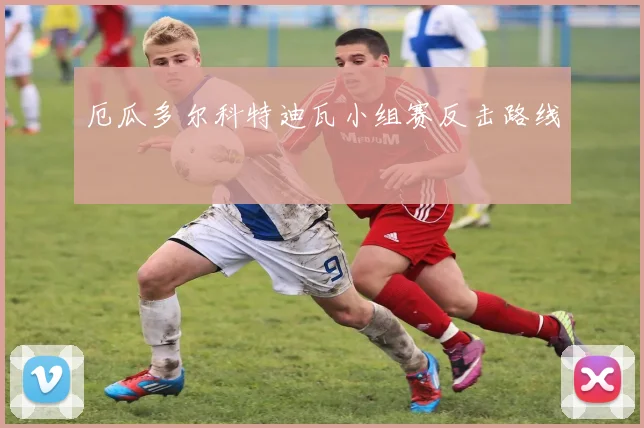 厄瓜多尔科特迪瓦小组赛反击路线