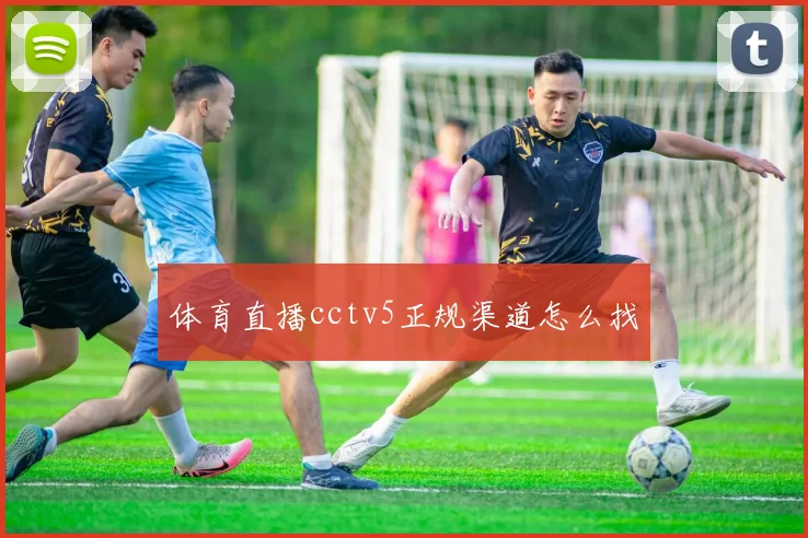 体育直播cctv5正规渠道怎么找