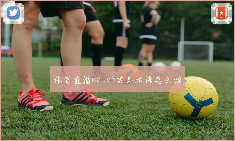 体育直播cctv5常见术语怎么找