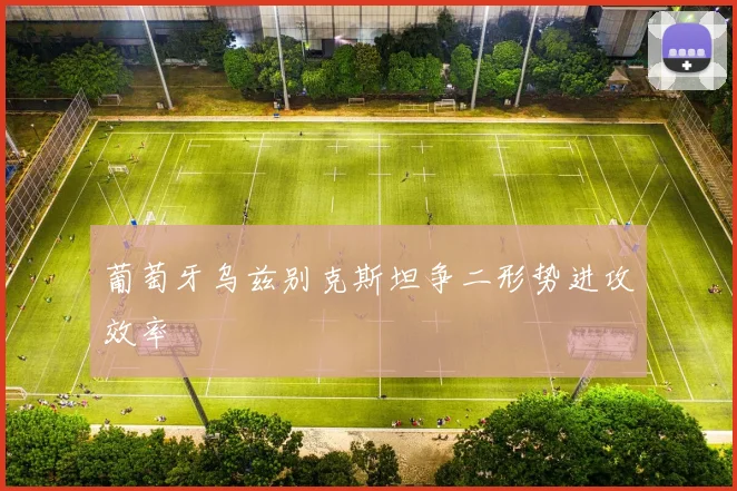 葡萄牙乌兹别克斯坦争二形势进攻效率