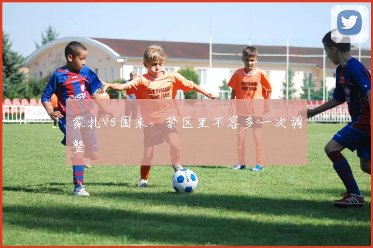 蒙扎vs国米，禁区里不容多一次调整