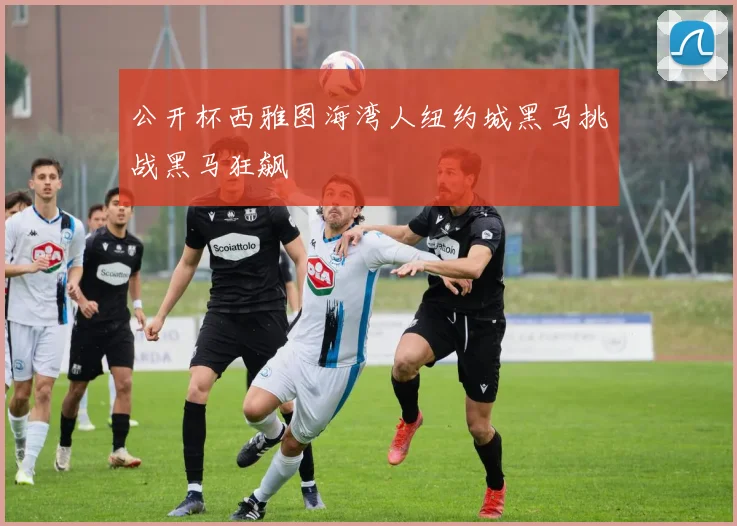 公开杯西雅图海湾人纽约城黑马挑战黑马狂飙