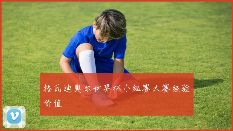 格瓦迪奥尔世界杯小组赛大赛经验价值